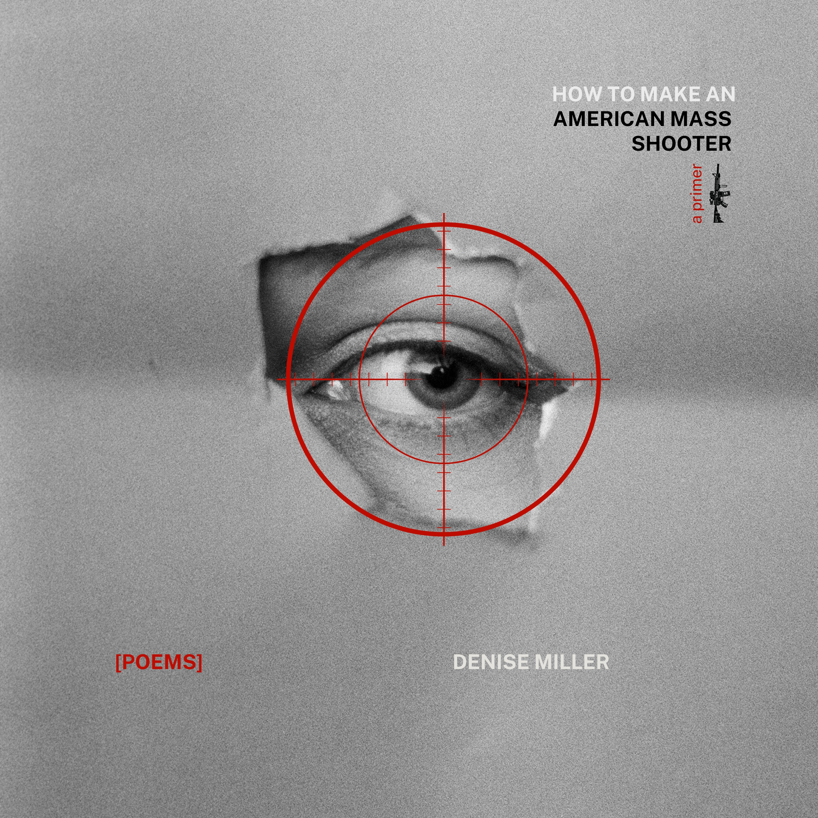 How to Make an American Mass Shooter: A Primer (Paperback)