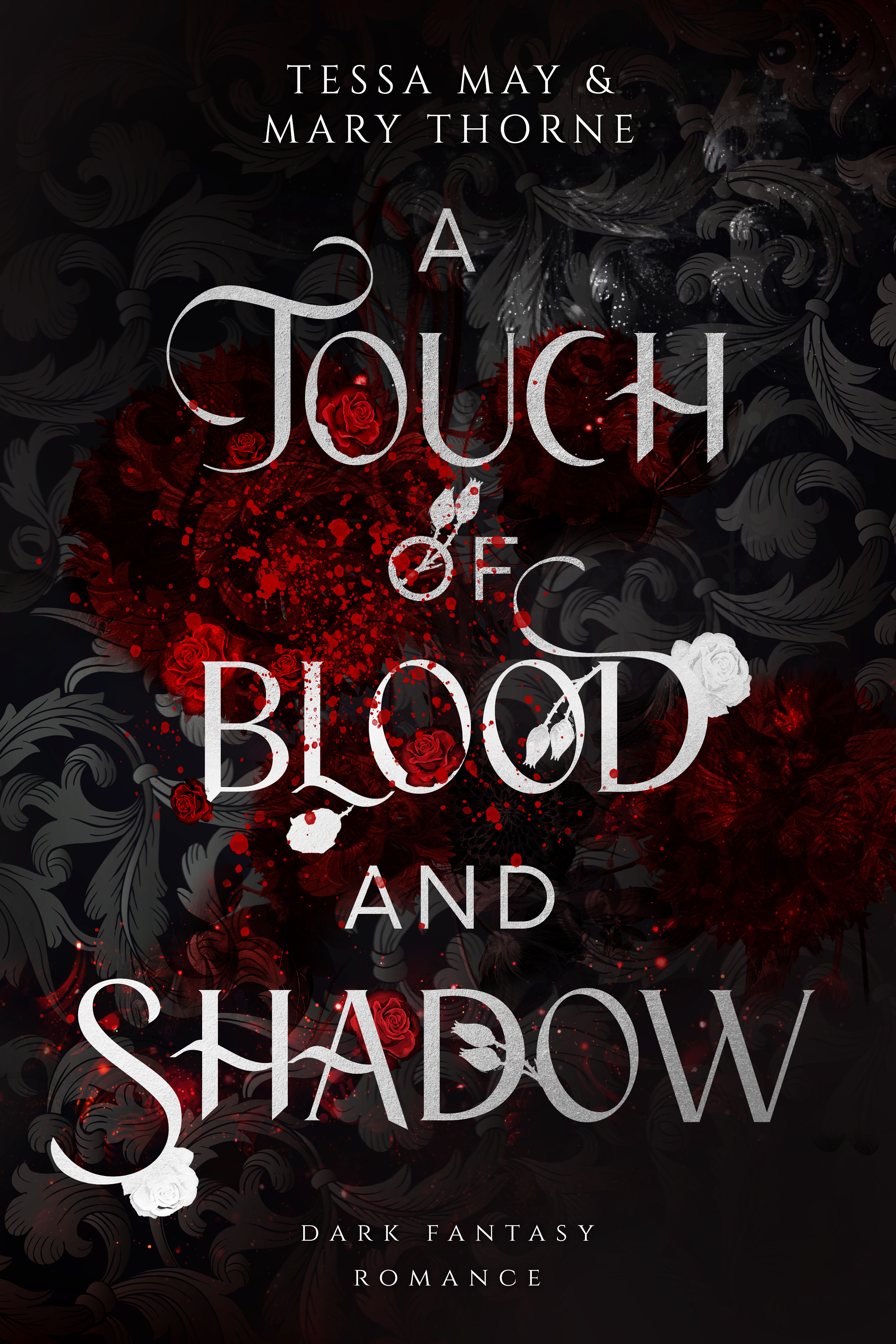 A Touch of Blood and Shadow (Paperback)