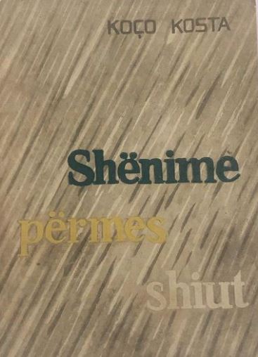 Shënime përmes shiut : reportazhe, skica dhe shkrime të tjera