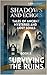 Surviving the Ruins: Shadow...