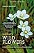 Harrap’s Wild Flowers: Seco...