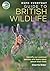 RSPB Everyday Guide to Brit...