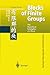 Blocks of Finite Groups: Th...