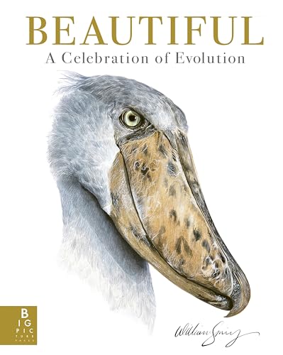 Beautiful: A Celebration of Evolution (Hardcover)