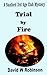Trial by Fire (Sanford Third Age Club Mystery #14)