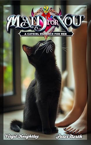 Maid For You 2: A Romance For Men (Kindle Edition)