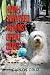 How I Survived Against Great Odds by Carlos Cruz