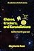 Cheese, Crackers, and Constellations
