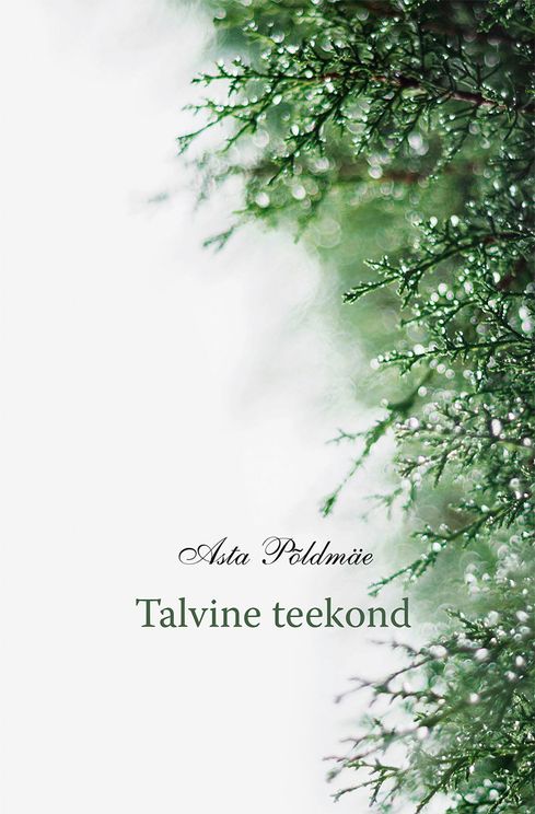 Talvine teekond