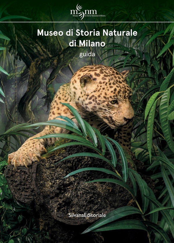 Museo di Storia Naturale di Milano Guida