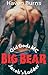 Big Bear: An OTT Second Cha...