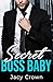 Secret Boss Baby: Ein Milli...
