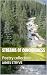 Streams of Conciousness: Po...