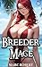 Breeder Mage 2: A Harem Fan...