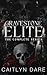 Gravestone Elite: A Dark Bully Romance