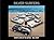 Silver Surfers