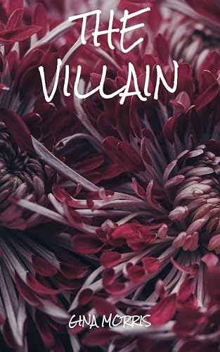 The Villain (Kindle Edition)