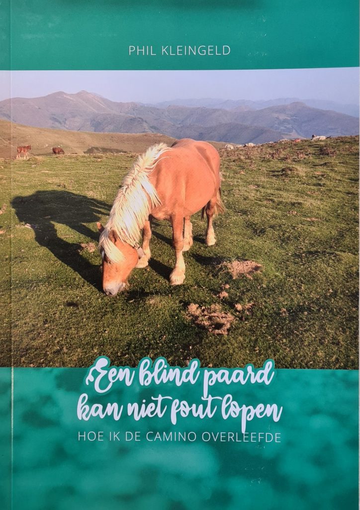 Een blind paard kan niet fout lopen (Paperback)