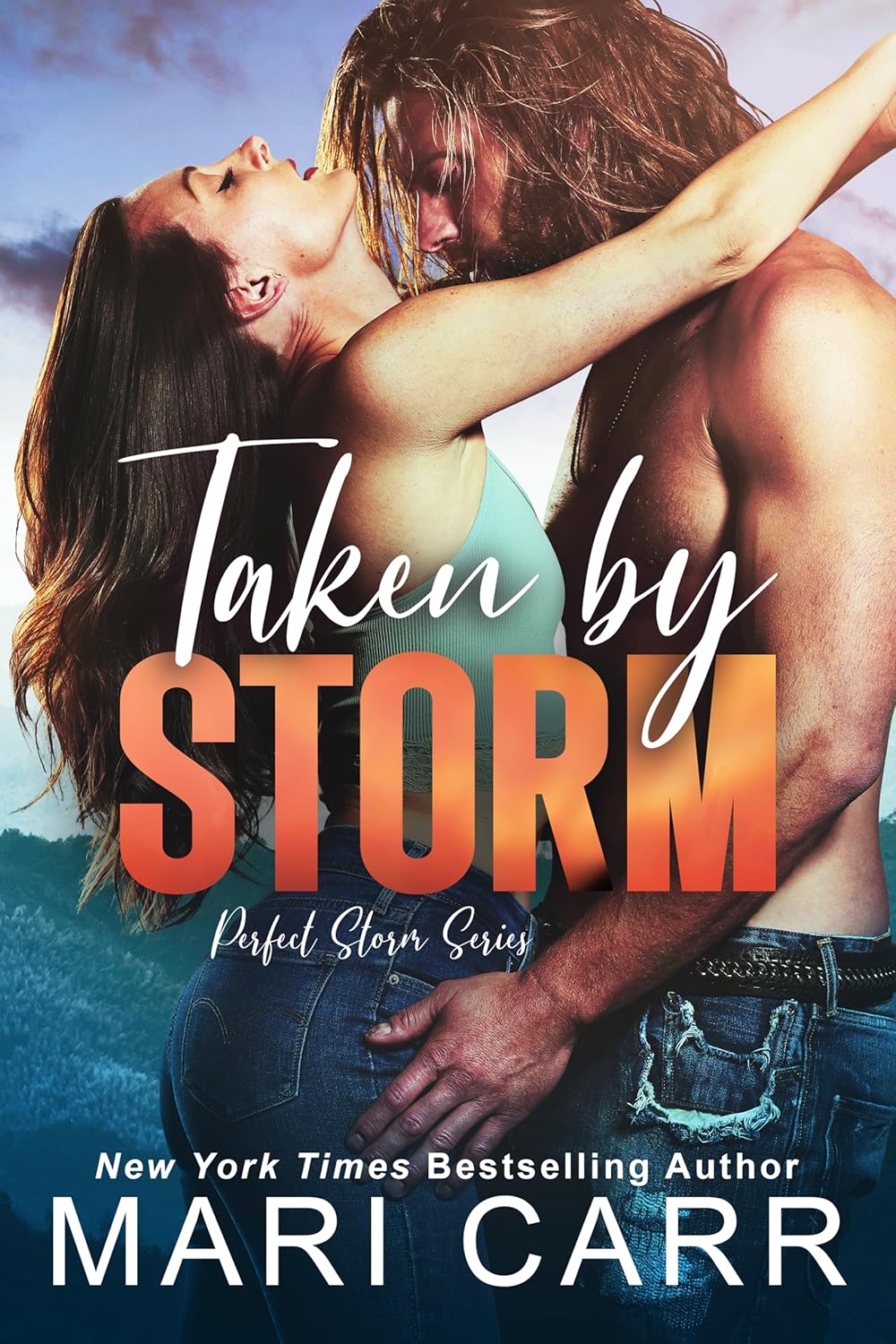 Taken by Storm (Perfect Storm, #1)