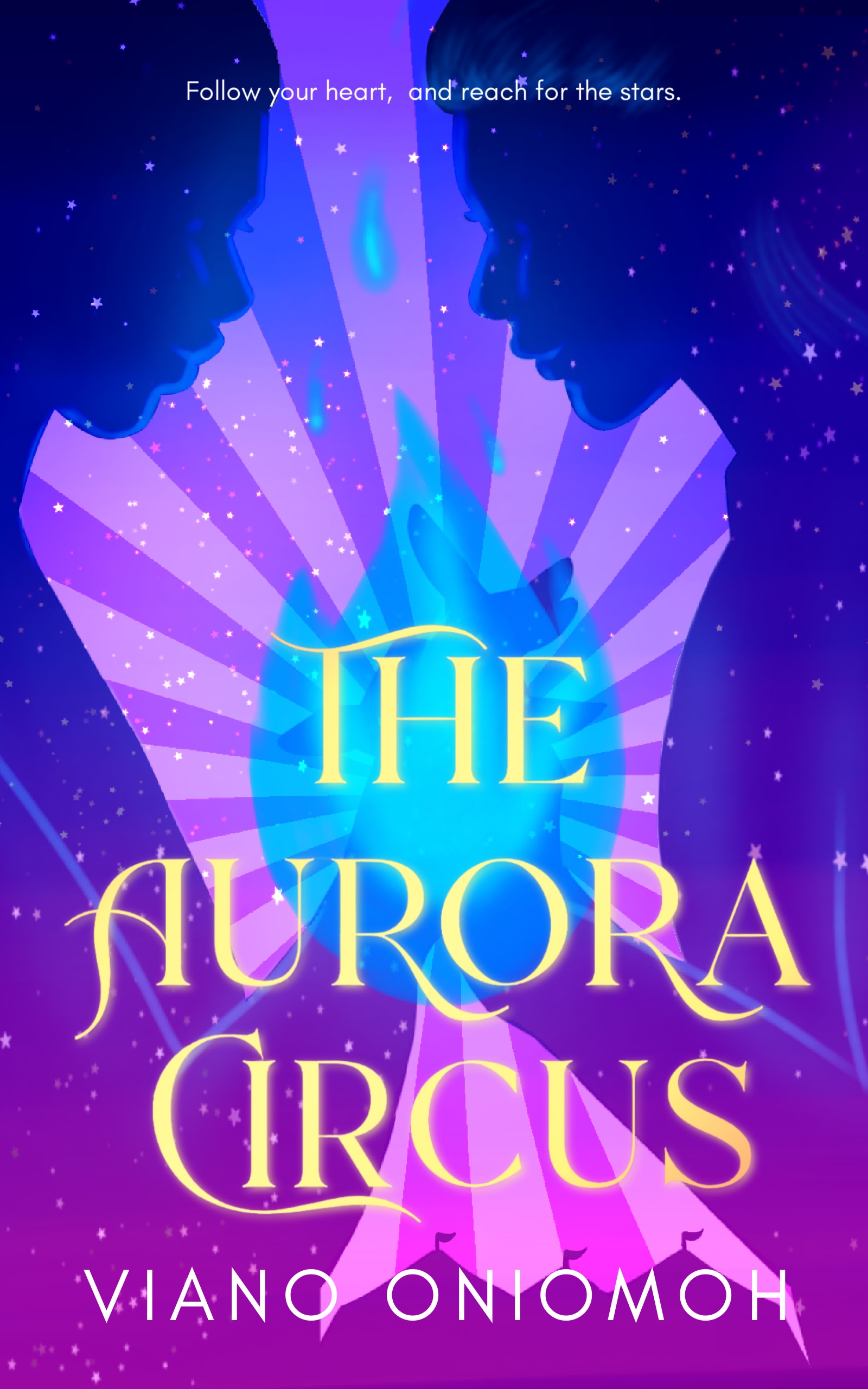 The Aurora Circus (ebook)