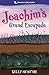 Adventures in Fairy Meadow Joachim's Grand Escapade by Kelly McIntire
