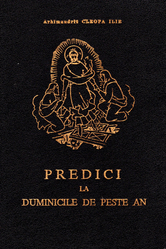 Predici la duminicile de peste an (Hardcover)