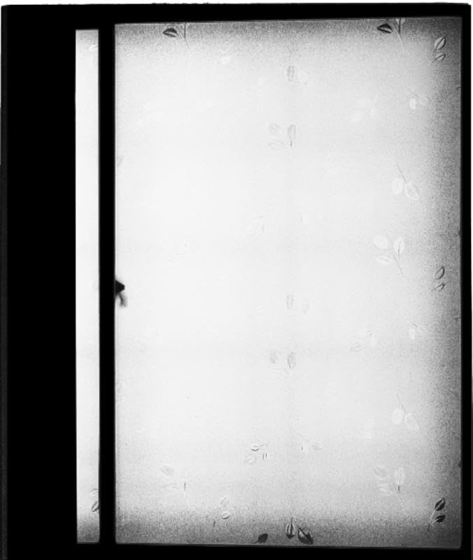 The Humanness of Our Lonely Selves (Leporello with insert)