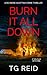 Burn it All Down: An Edge-Of-Your-Seat Scottish Detective Mystery (DCI Bone Scottish Crime Thrillers)
