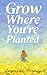 Grow Where You're Planted: ...