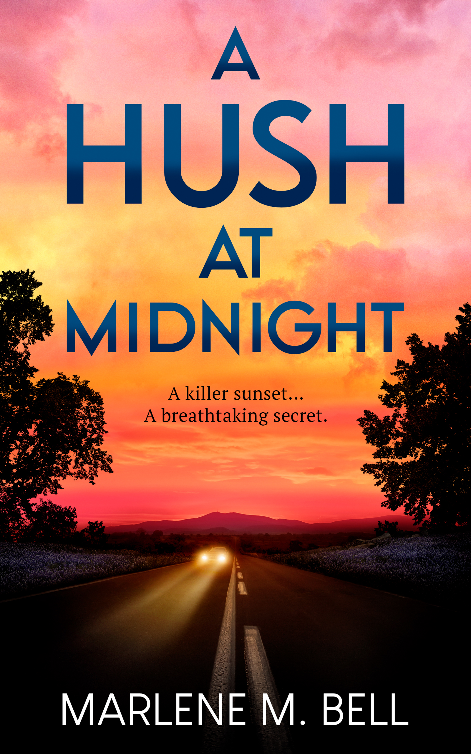 A Hush at Midnight (Paperback)