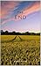 The End (Abnormal Murders Book 4)