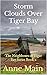 Storm Clouds Over Tiger Bay by Anne Main