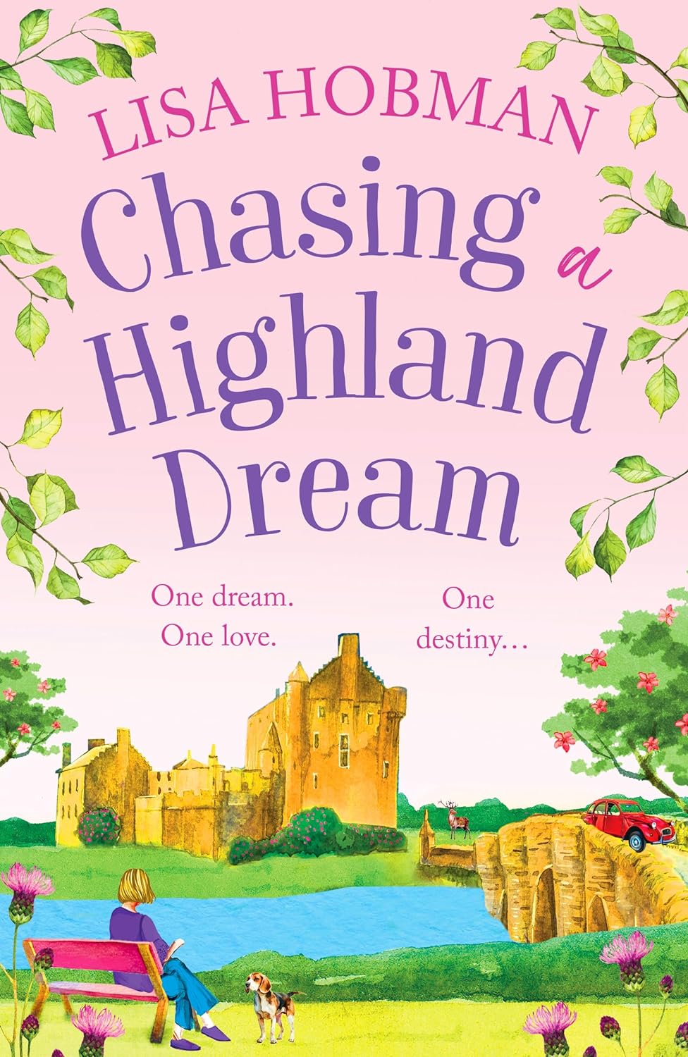 Chasing a Highland Dream (The Highlands #2)