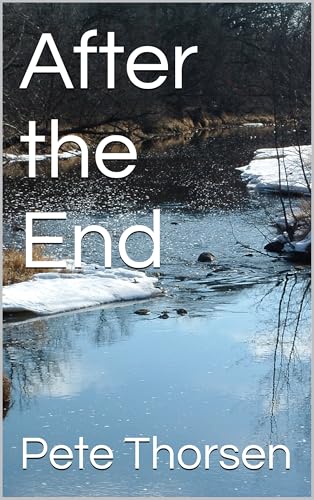 After the End (Kindle Edition)
