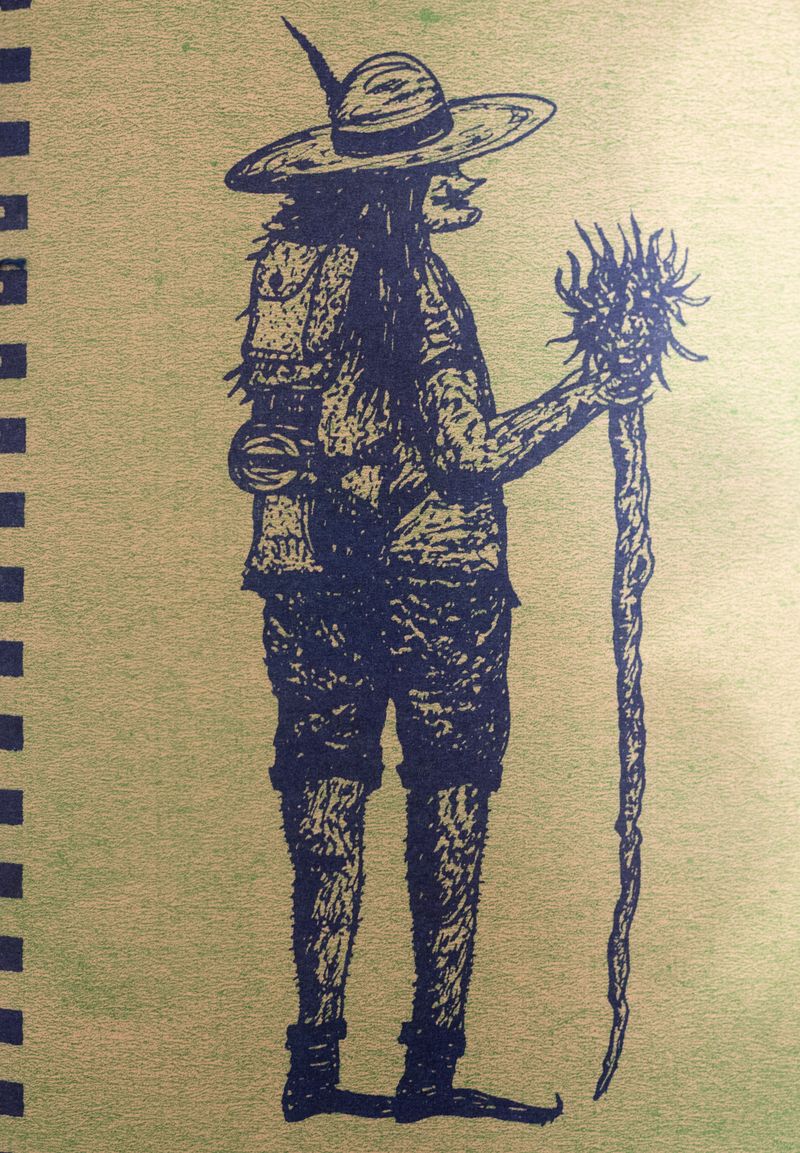 Jehličí v botách (Paperback)