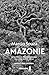 Amazonie : De la période pr...