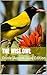 The Wise Owl: Oriole (Augus...