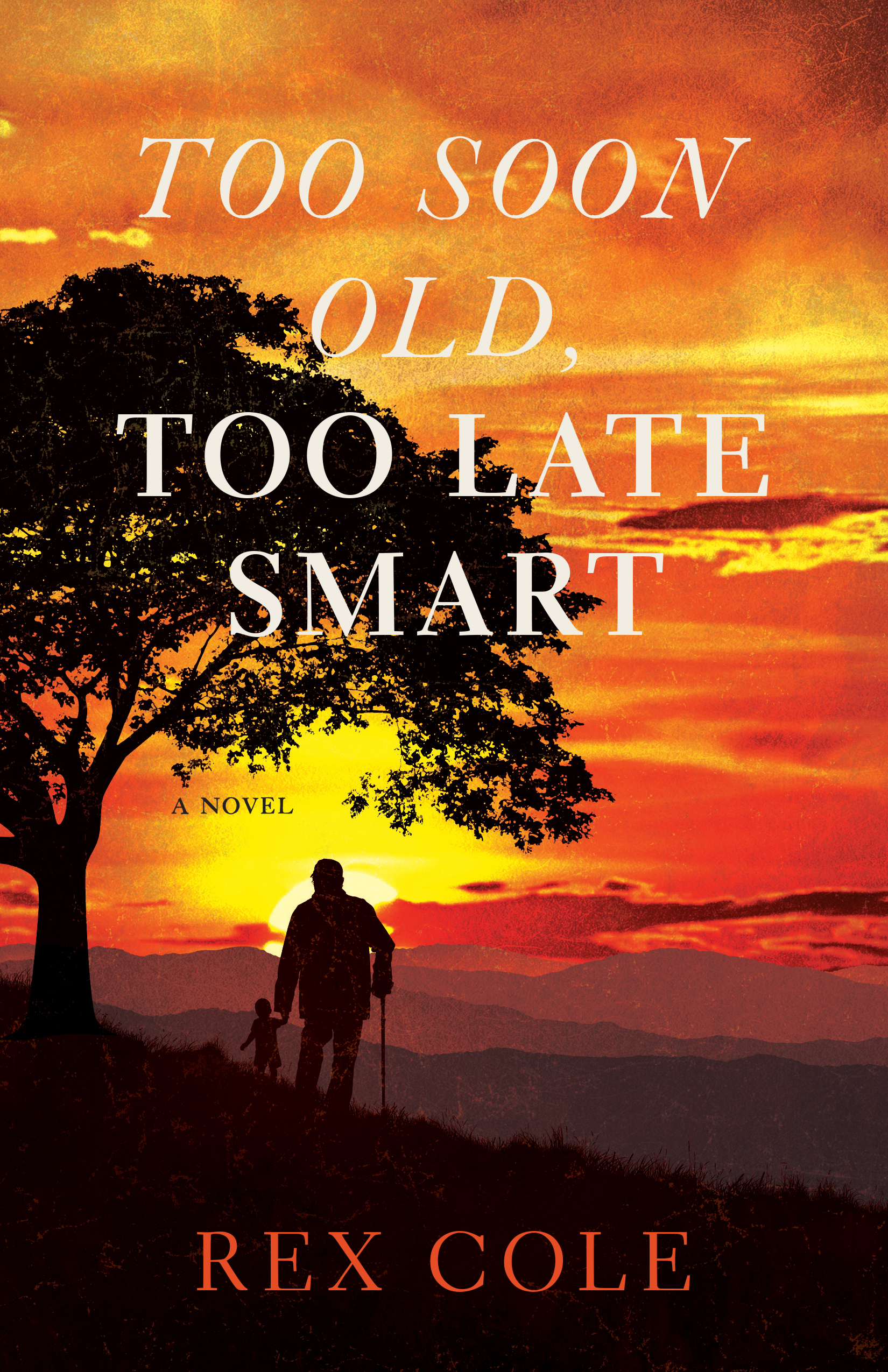 Too Soon Old, Too Late Smart (Kindle Edition)