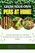 Grow Your Own Peas At Home ...
