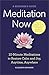 Meditation Now: A Beginner'...