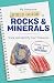 My Awesome Field Guide to Rocks & Minerals by Gary Lewis
