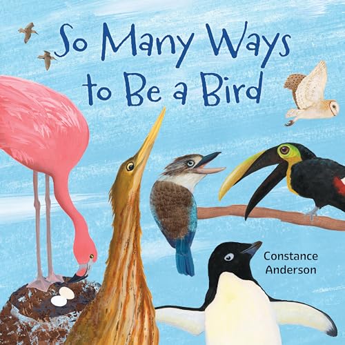 So Many Ways to Be a Bird (Paperback)