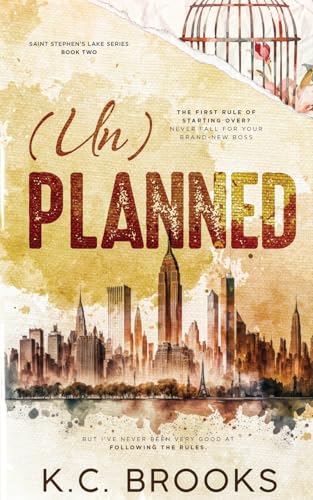 (Un)Planned: A Grumpy/Sunshine, Workplace Romance (Saint Stephen's Lake)