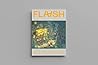 FLAASH N°04 - IA ...