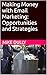 Making Money with Email Mar...