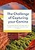 The Challenge of Capturing ...