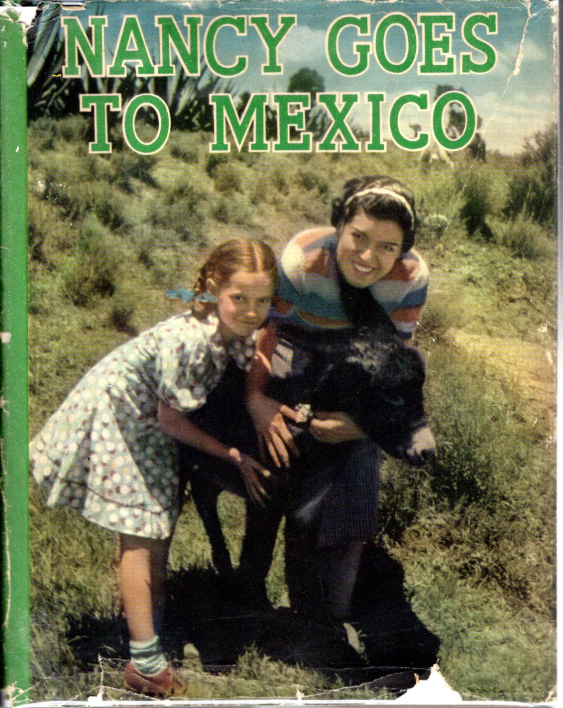 nancy goes to mexico (Hardcover)