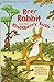 Brer Rabbit and the Blackberry Bush (Usborne First Reading Level 2)
