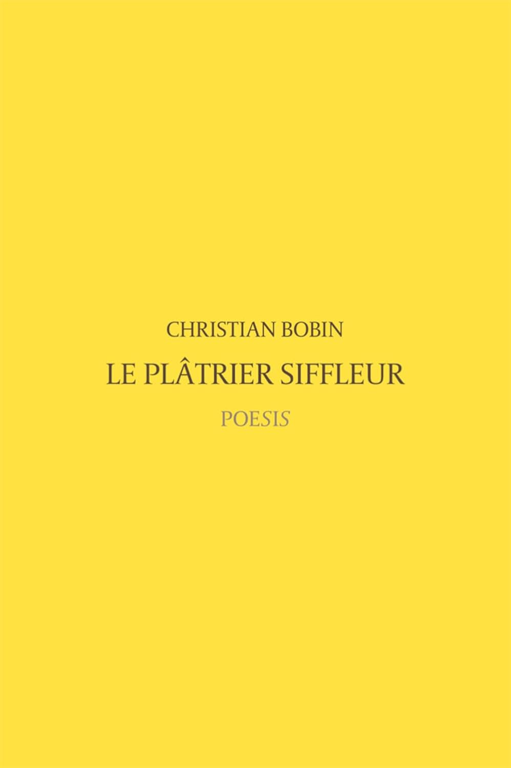 Le plâtrier siffleur (Paperback)