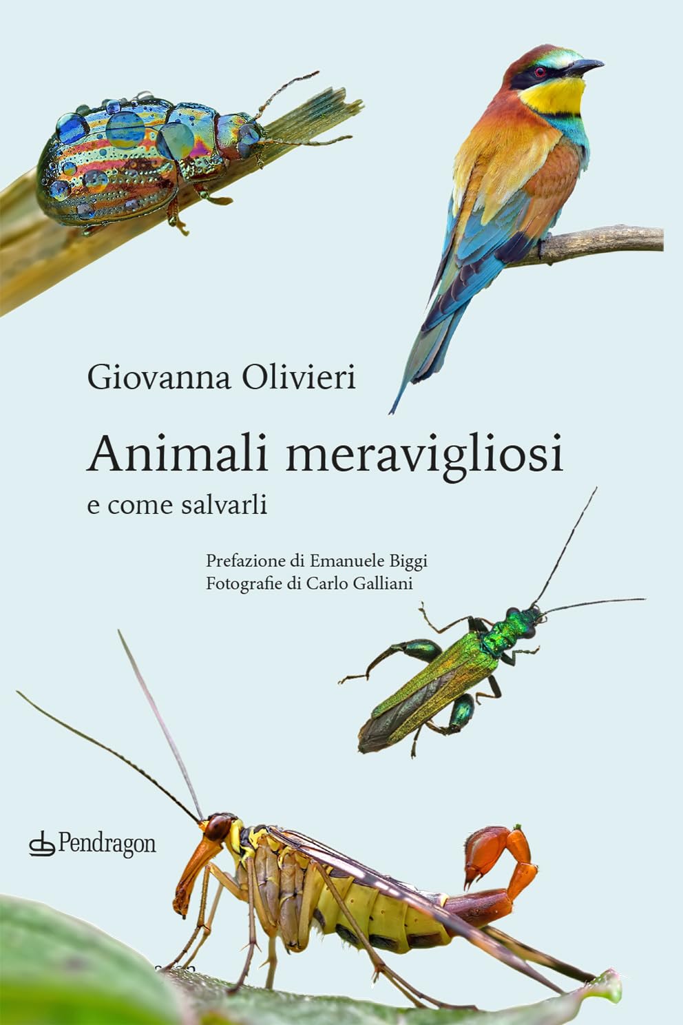 Animali meravigliosi e come salvarli (Paperback)